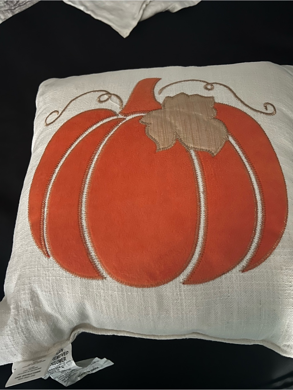 Autumn Pumpkin Decorative Throw Pillow - Orange & Tan